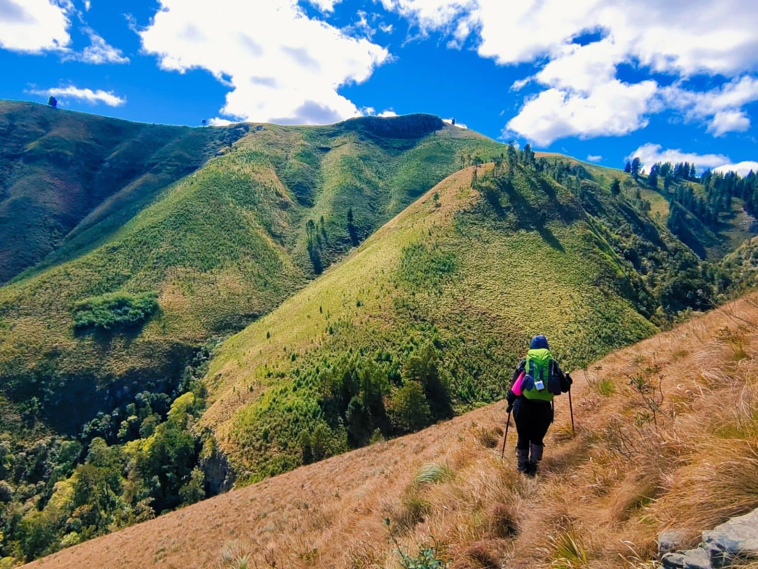 Scenic view along the Amatola Trail